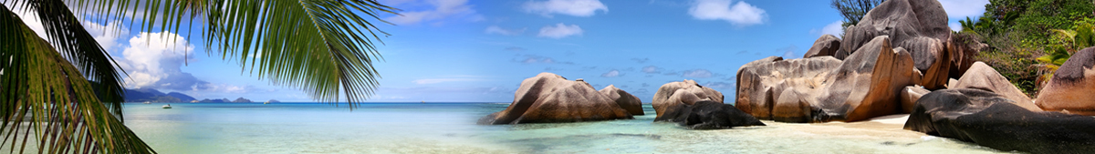 sailfishing charters, votre spcialiste en location et vente de bateaux (catamarans, multi-coque) avec skipper ou sans skipper aux seychelles