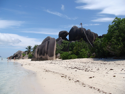 la location de bateau aux seychelles avec sailfishing charters fera de votre séjour dans ce petit paradis un moment inoubliable. Avec ses diverses option : skipper, cuisinier, pèche, détendez vous et profitez
